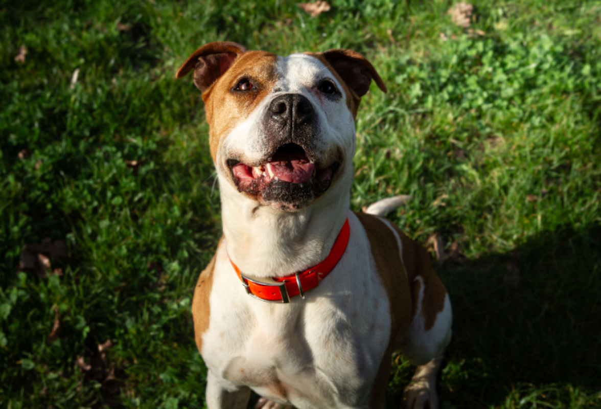 Photo #24 de MaÏnna