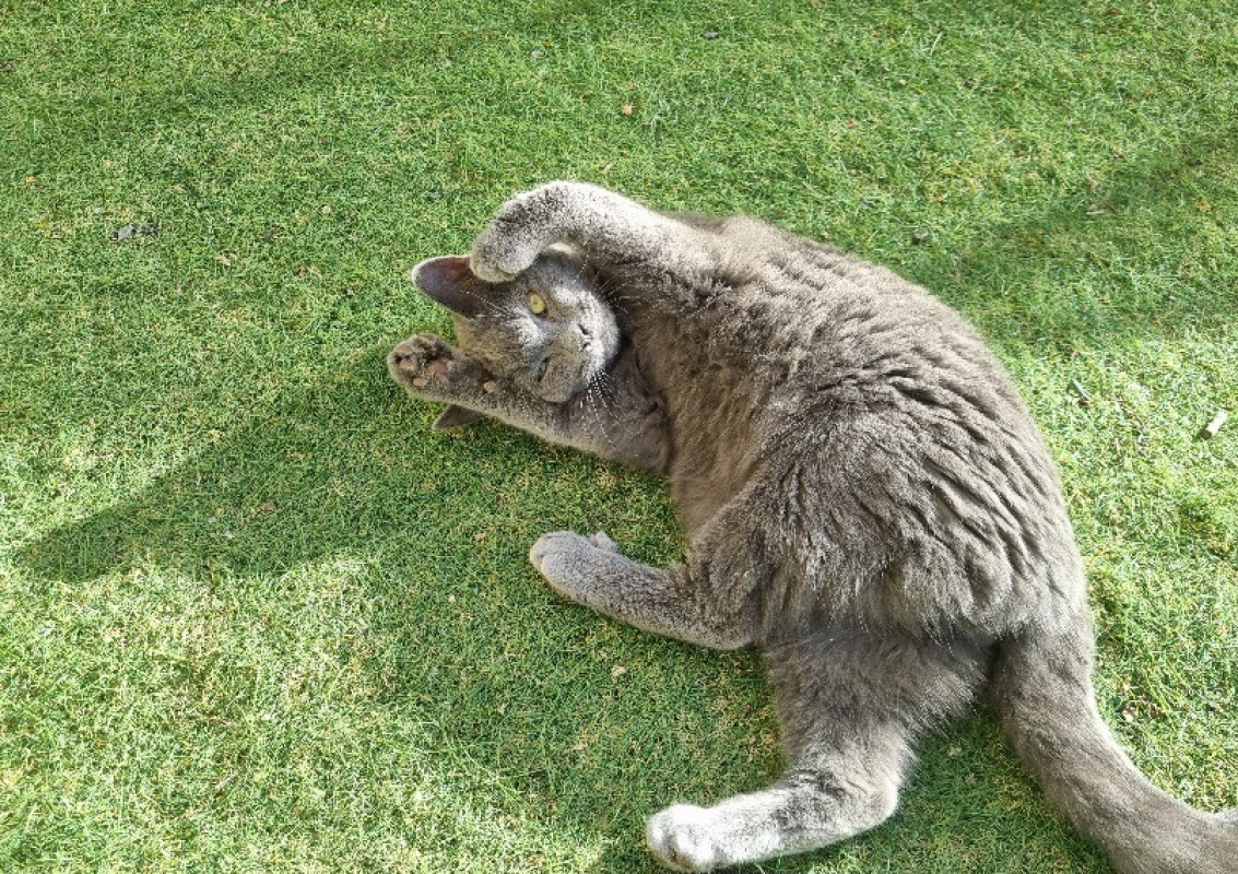 Photo #2 de Ti chouki