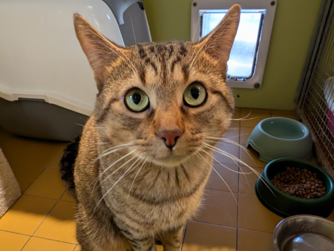 Photo #1 de Rubiscube