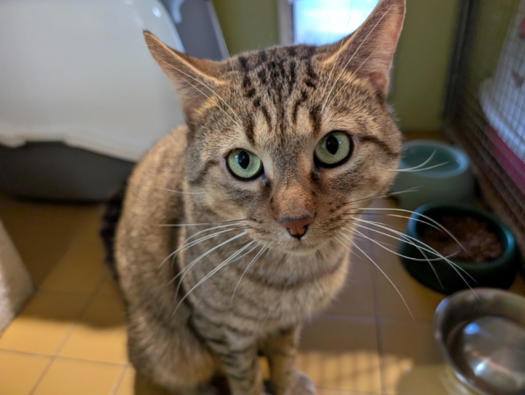 Photo #3 de Rubiscube