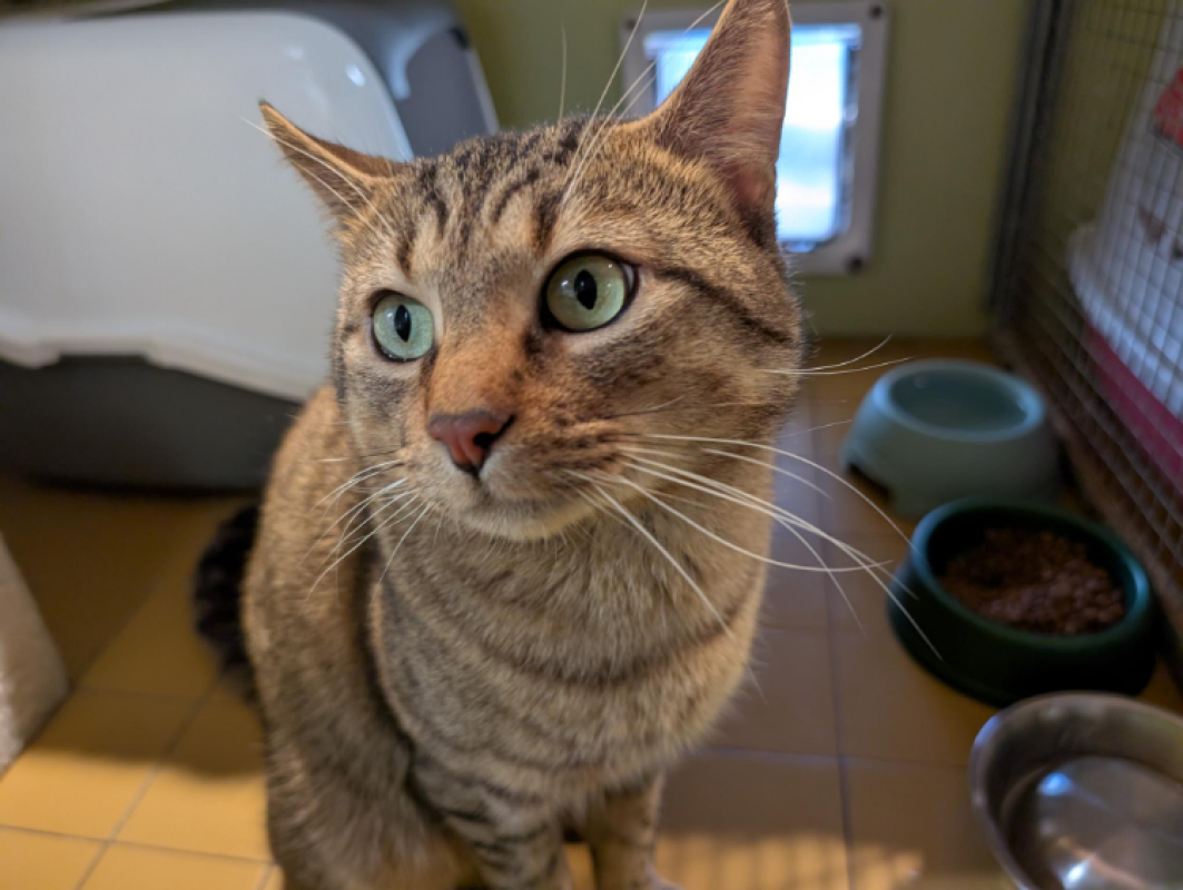 Photo #4 de Rubiscube