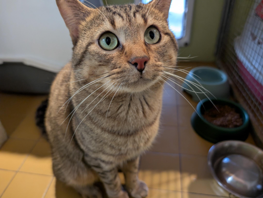 Photo #5 de Rubiscube