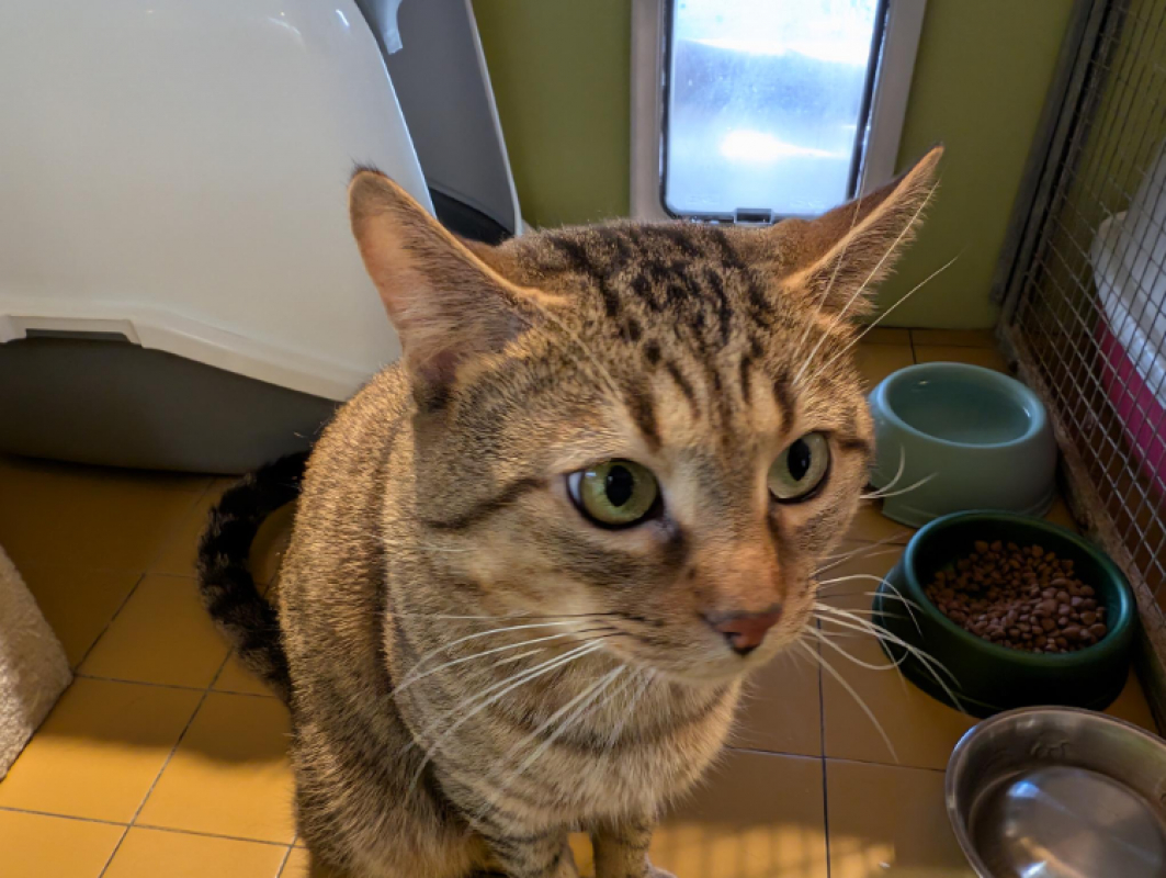 Photo #6 de Rubiscube