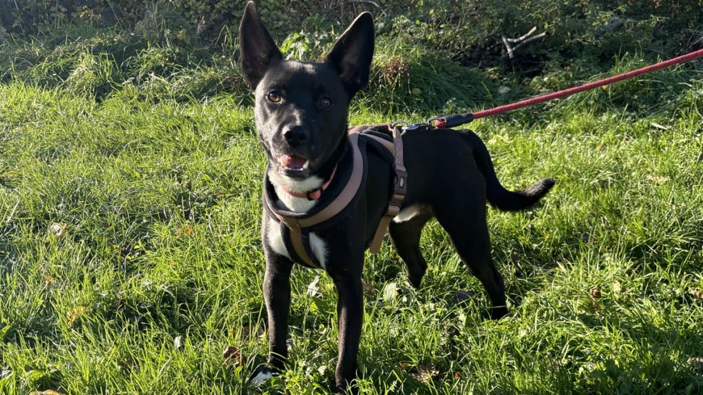 Photo de Undy dit ayako