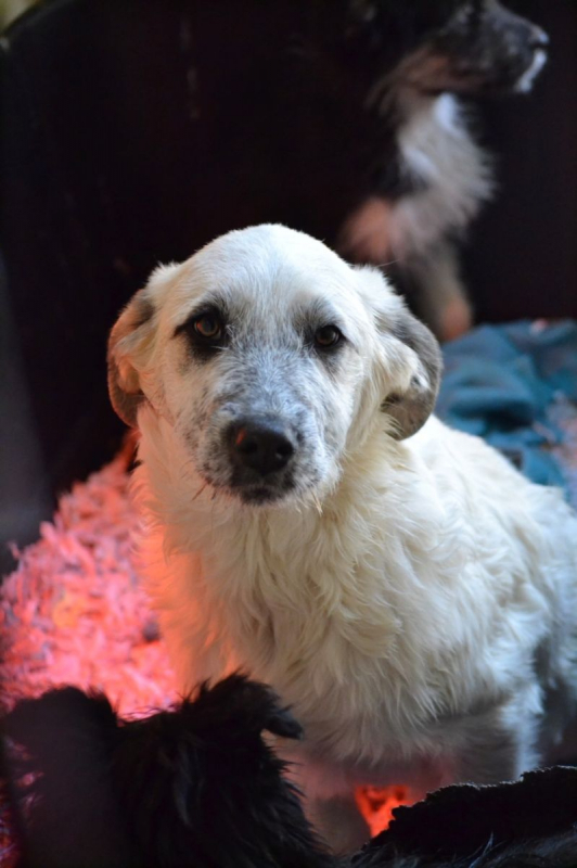 Photo #1 de Erik et Erin