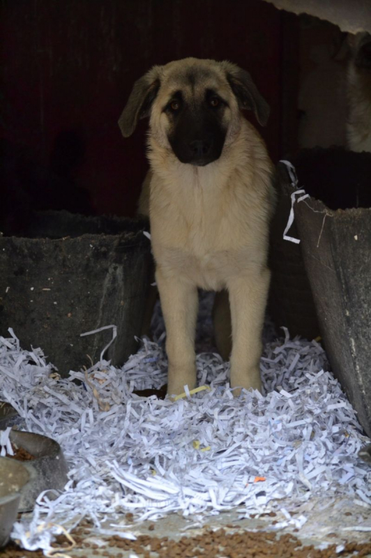 Photo #3 de Erik et Erin