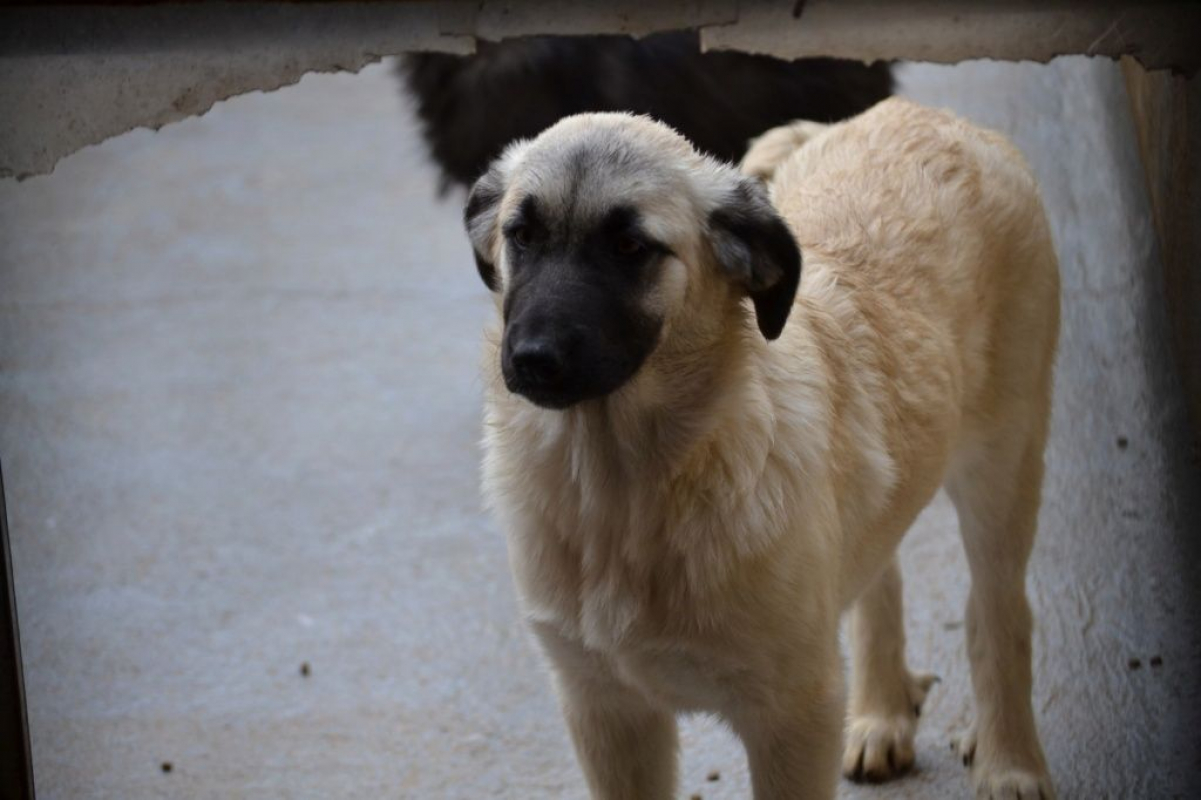 Photo #4 de Erik et Erin