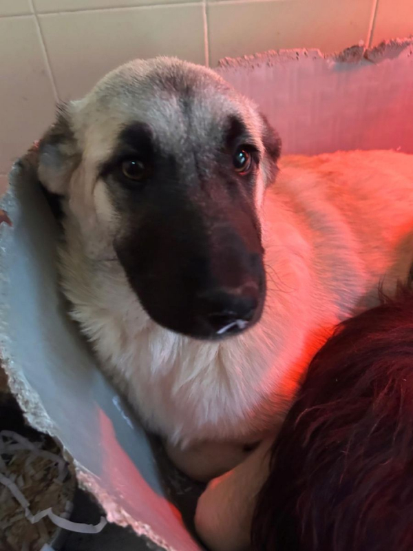 Photo #5 de Erik et Erin