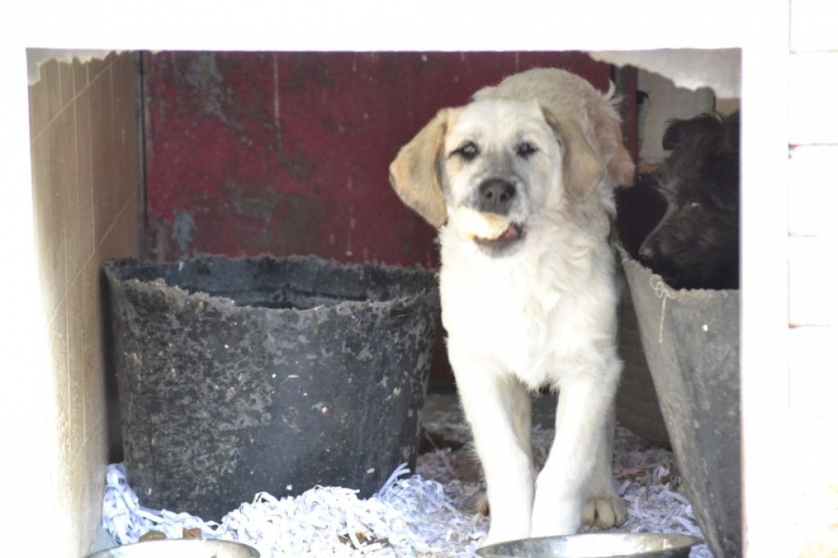 Photo #6 de Erik et Erin