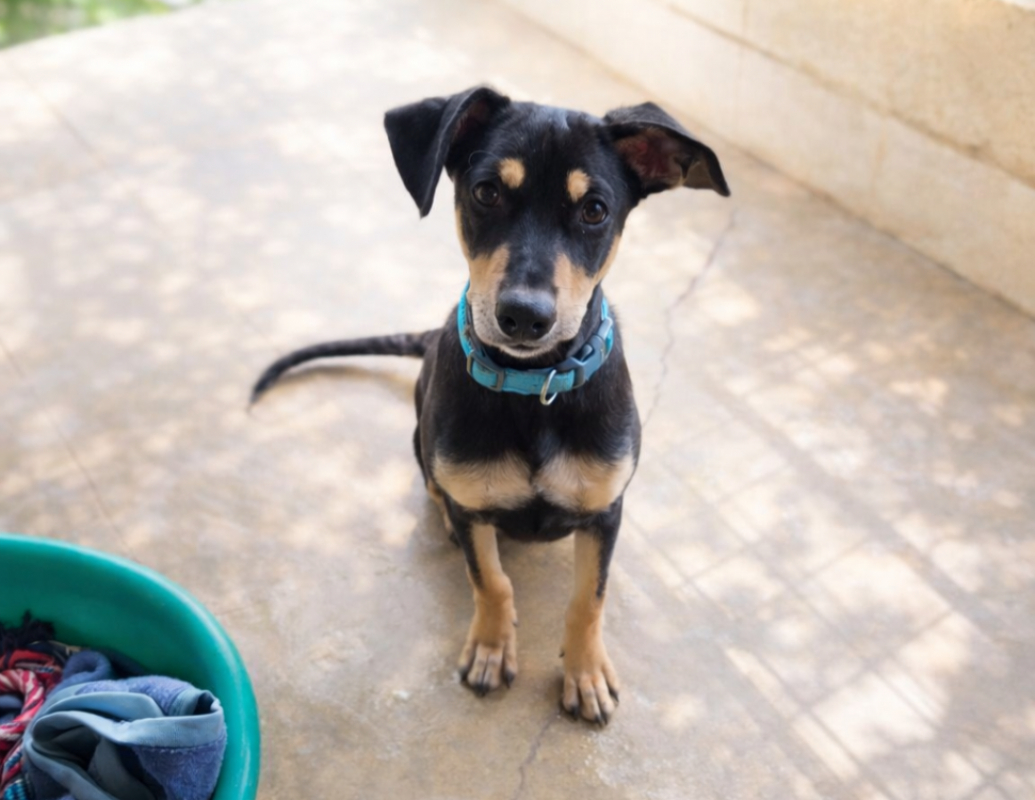 Photo de Tiaka reservé