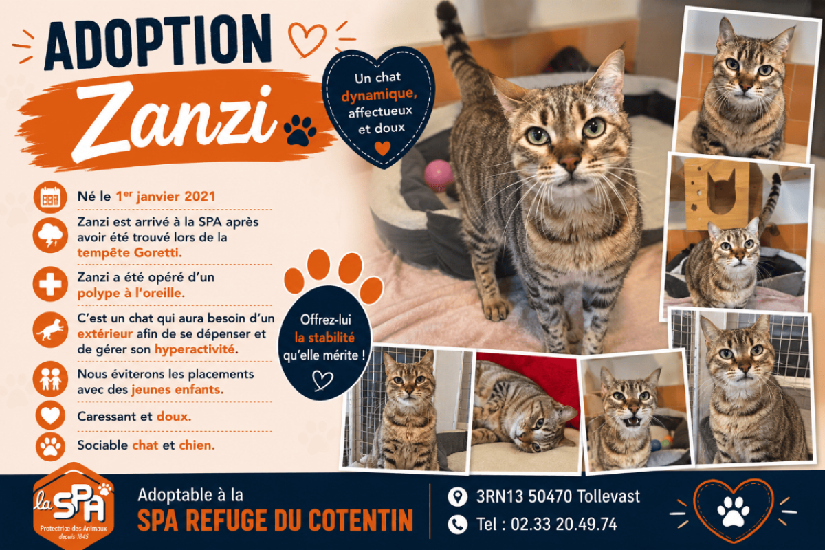 Photo de Zanzi