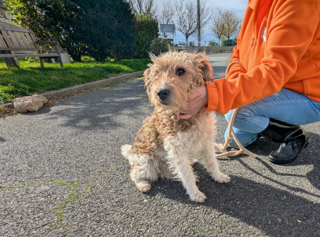 Photo #1 de Charlotte