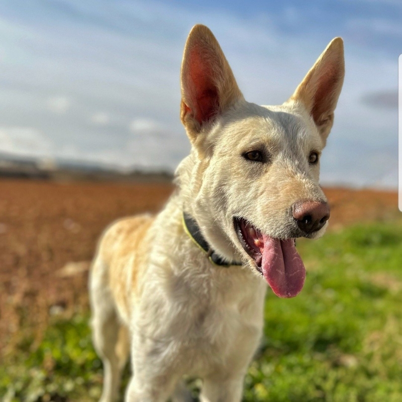 Photo de Shiny
