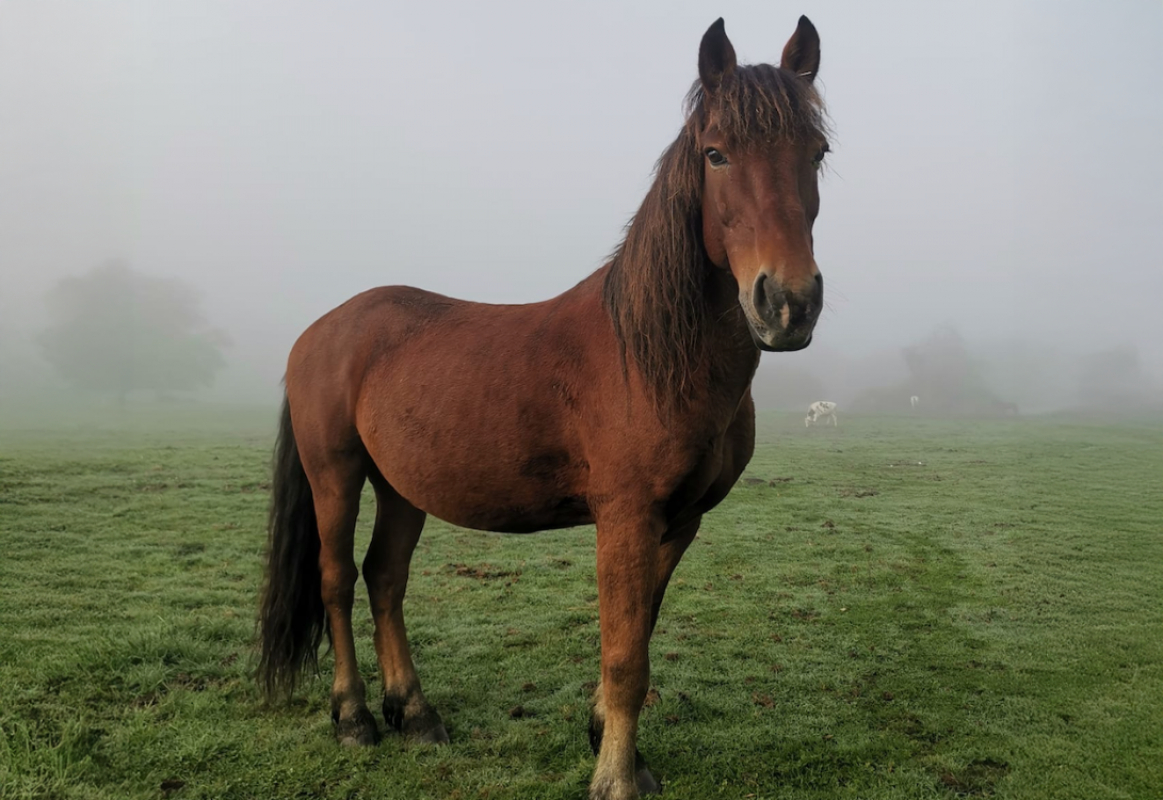 Photo de Bach de belnoe