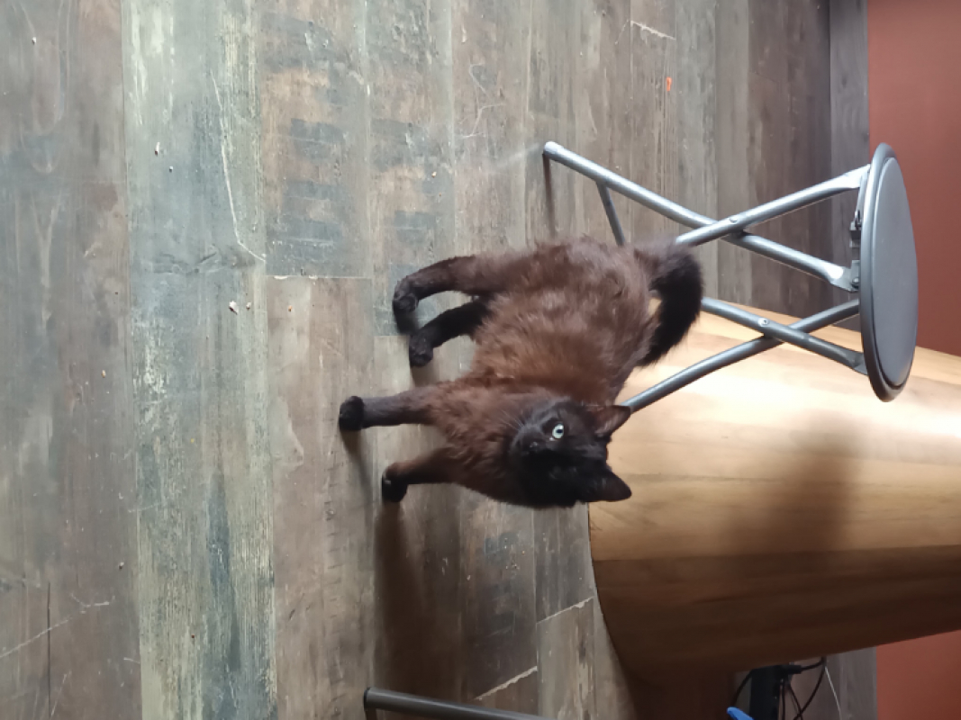 Photo #4 de Baboushka