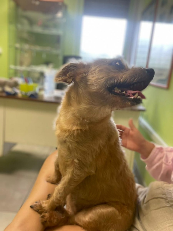 Photo #2 de Potatoes