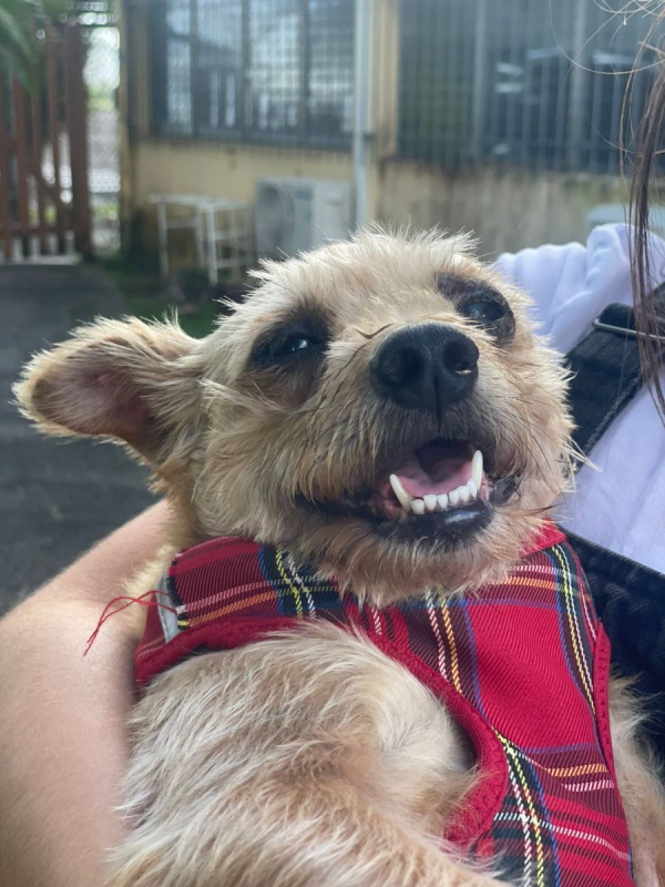 Photo #5 de Potatoes