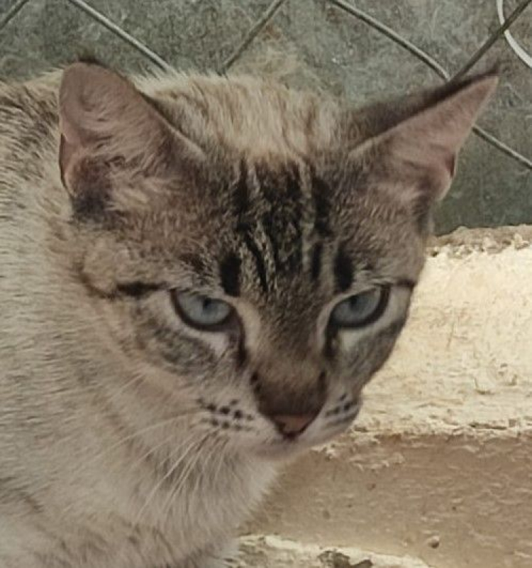 Photo #1 de Mathilda