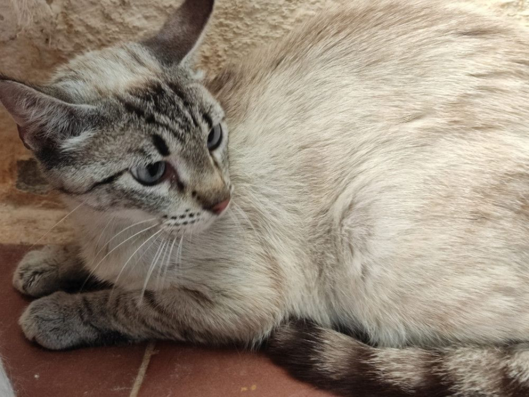 Photo #2 de Mathilda