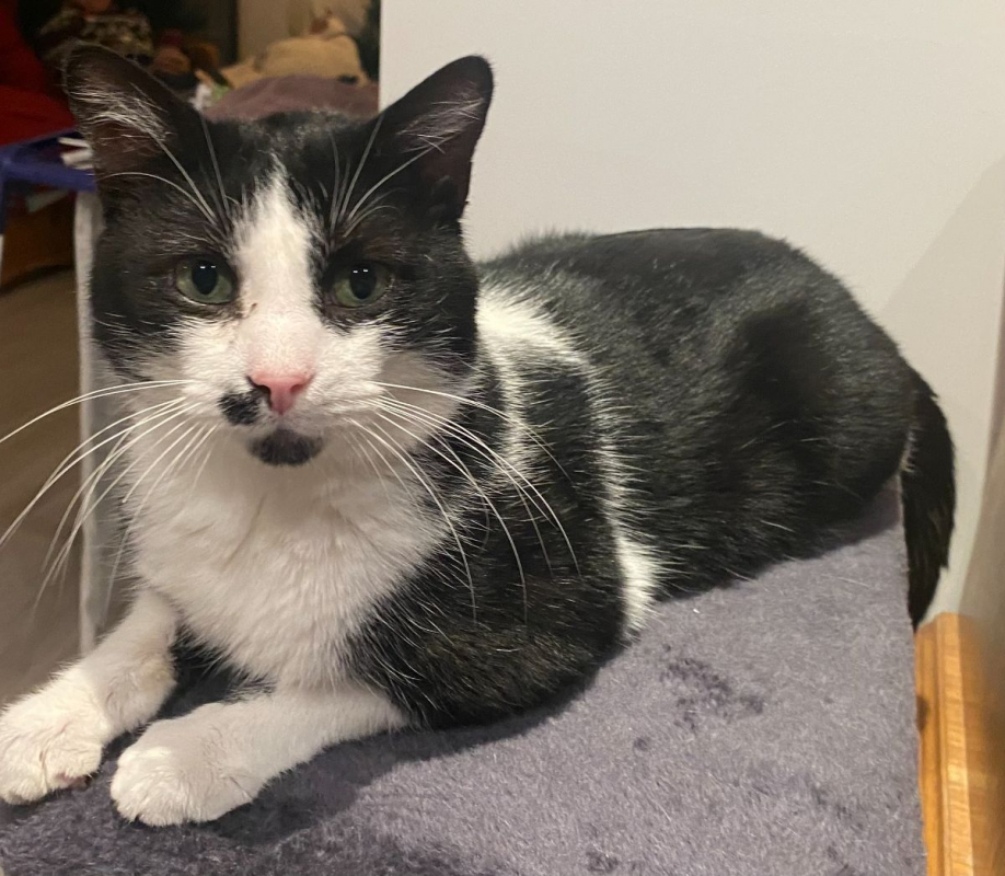 Photo #3 de Moustache