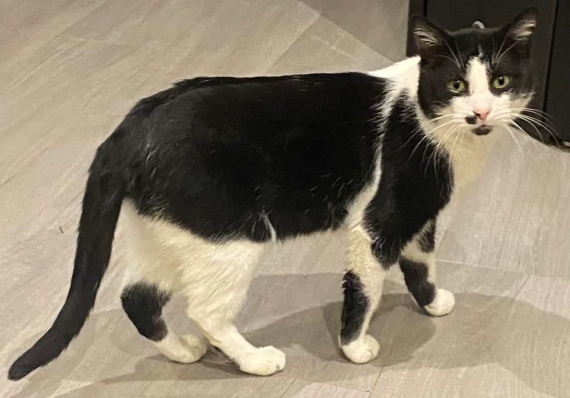 Photo #5 de Moustache