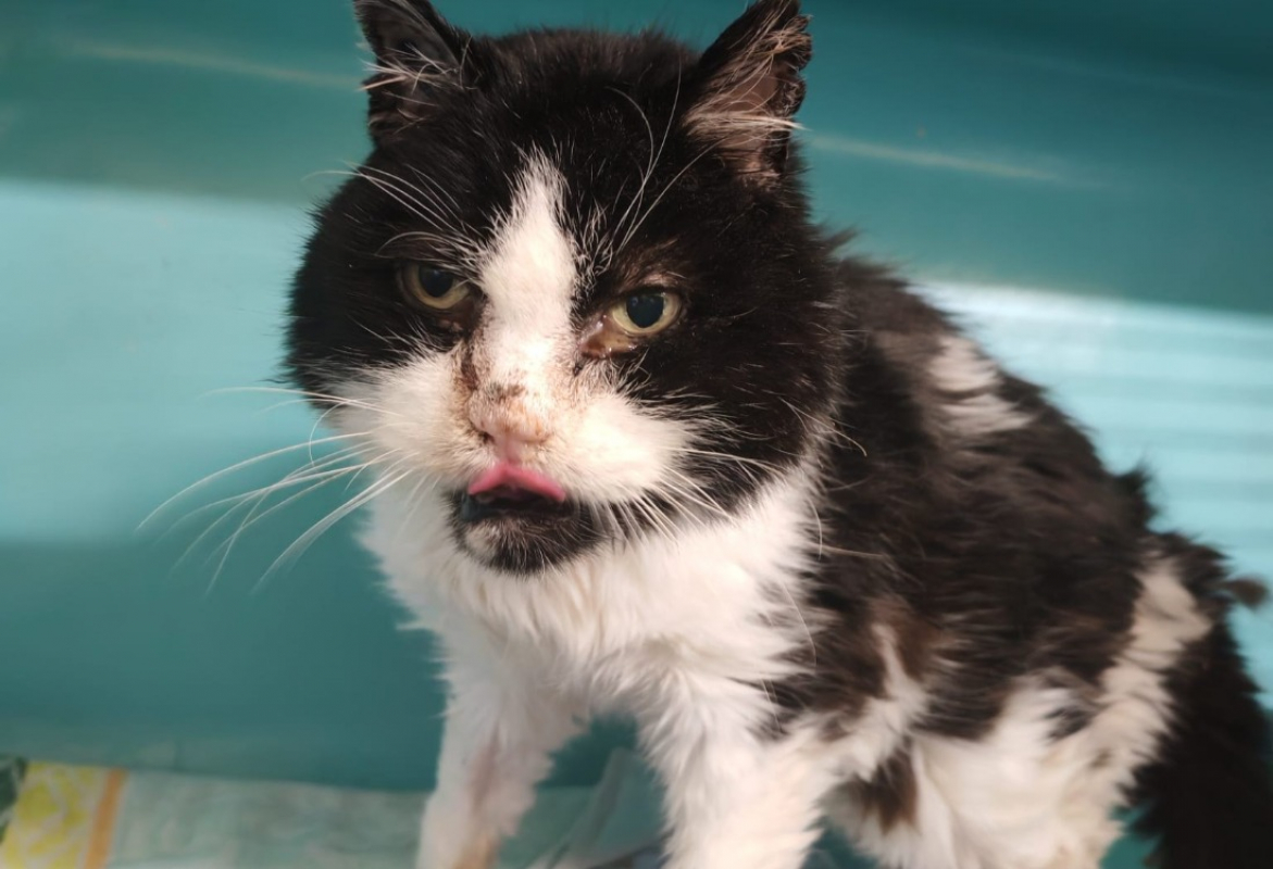 Photo de Ex tonton /hercule