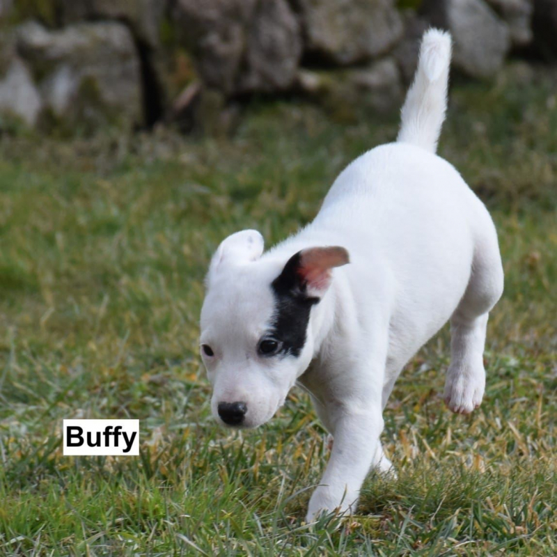 Photo #1 de Bohème, Batman et Buffy