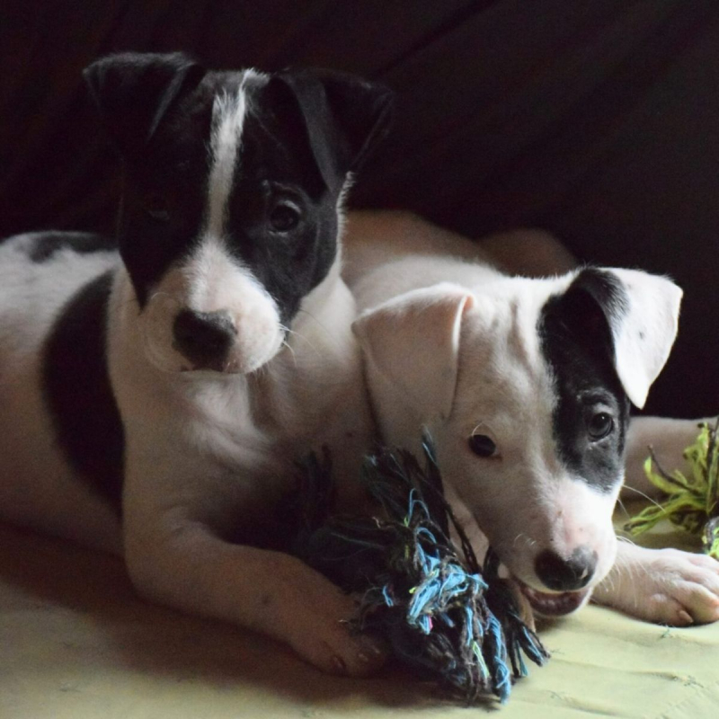 Photo #5 de Bohème, Batman et Buffy