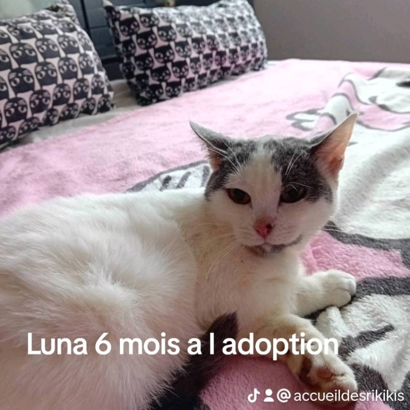 Photo de Luna