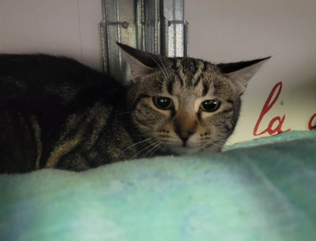 Photo #2 de Séverine