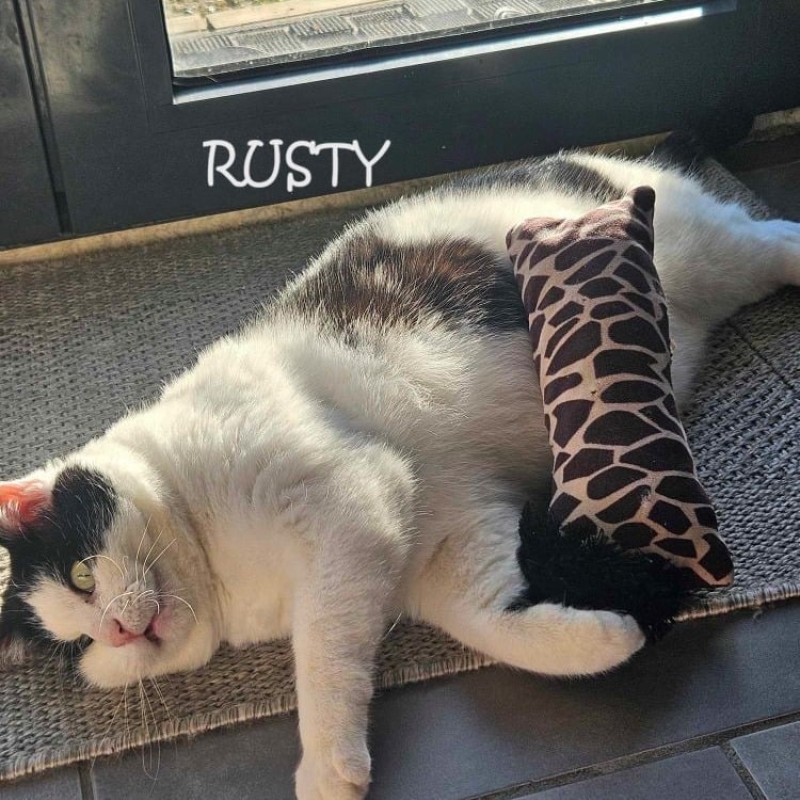 Photo de Rusty