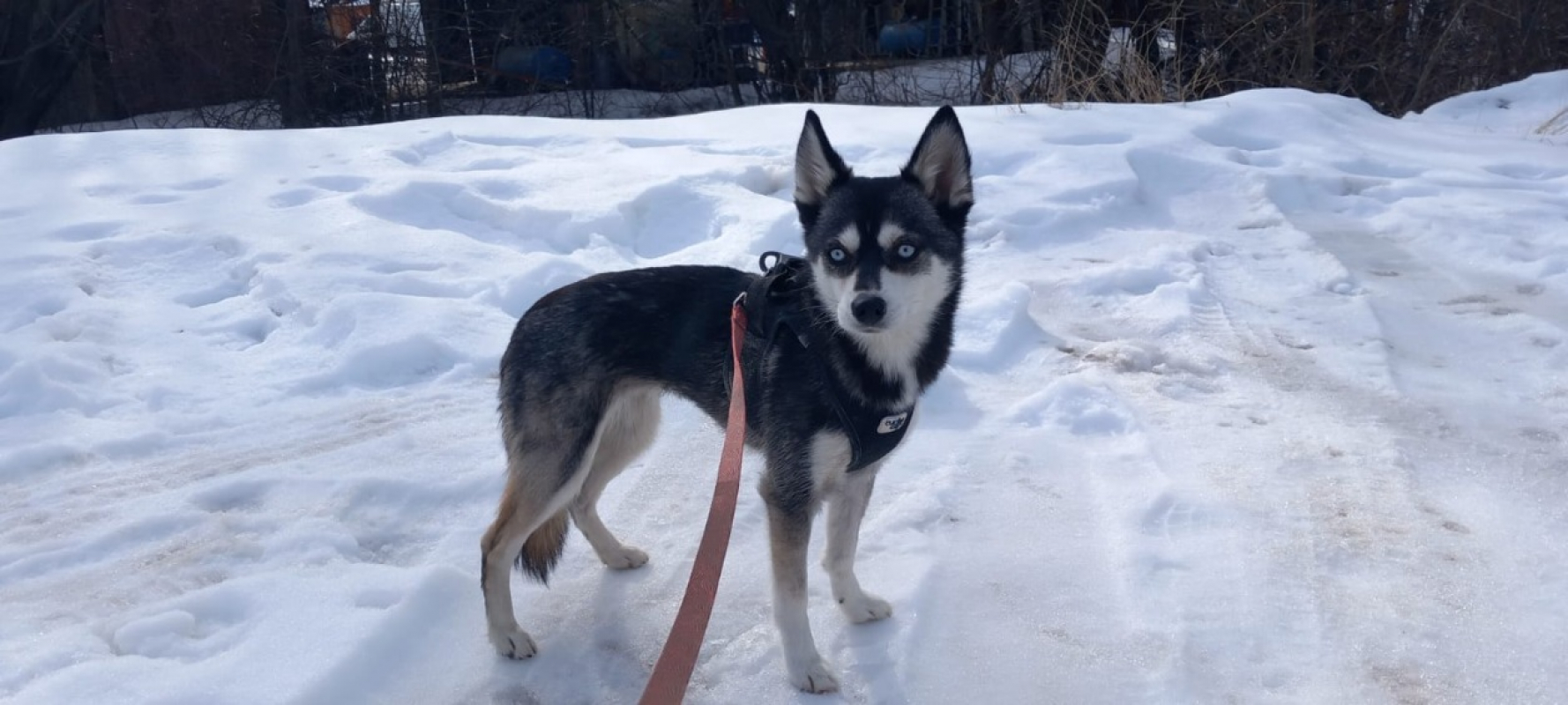 Photo #1 de Alaska cnne