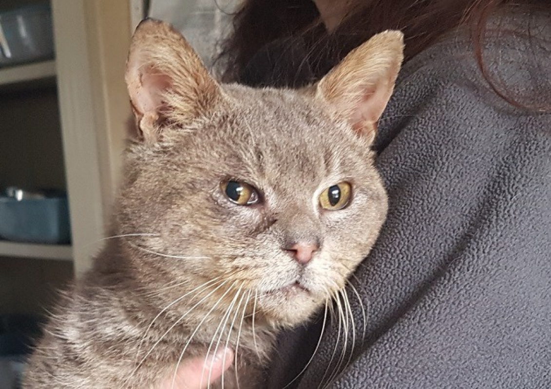 Photo #1 de Capitain croch'