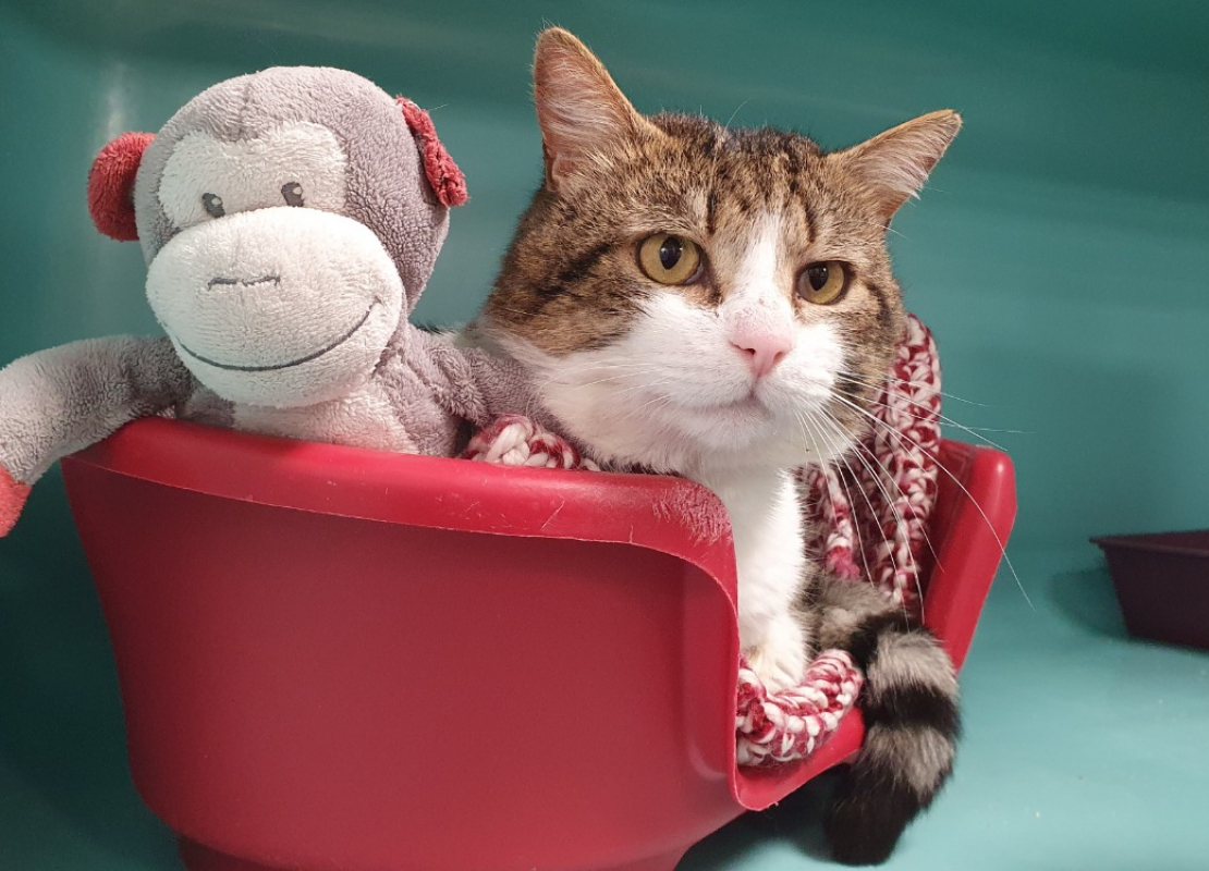 Photo #2 de Accalmie