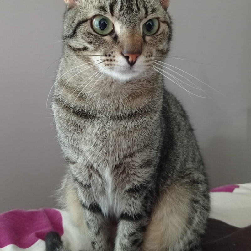 Photo de Yoko