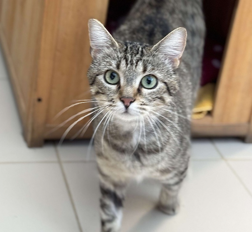 Photo de Poupie