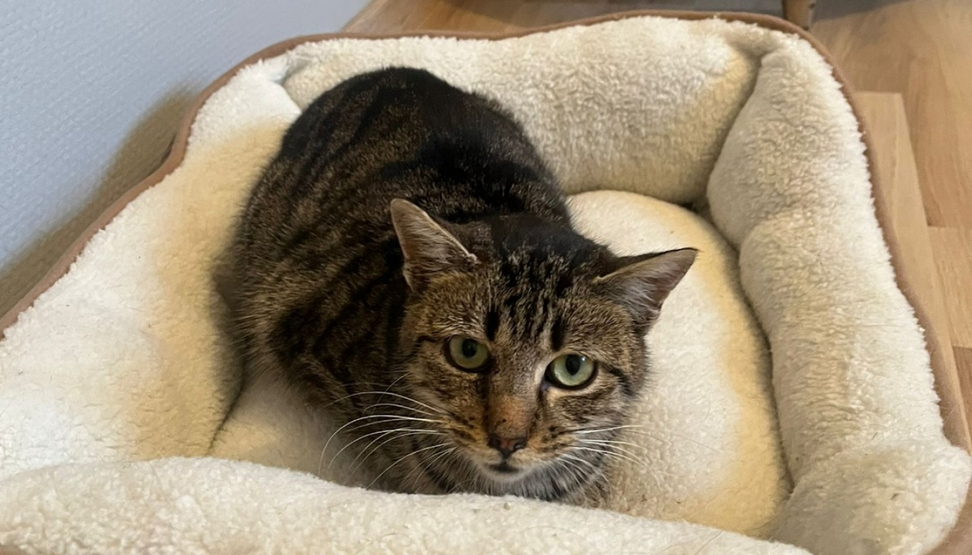 Photo de Perle chez lola