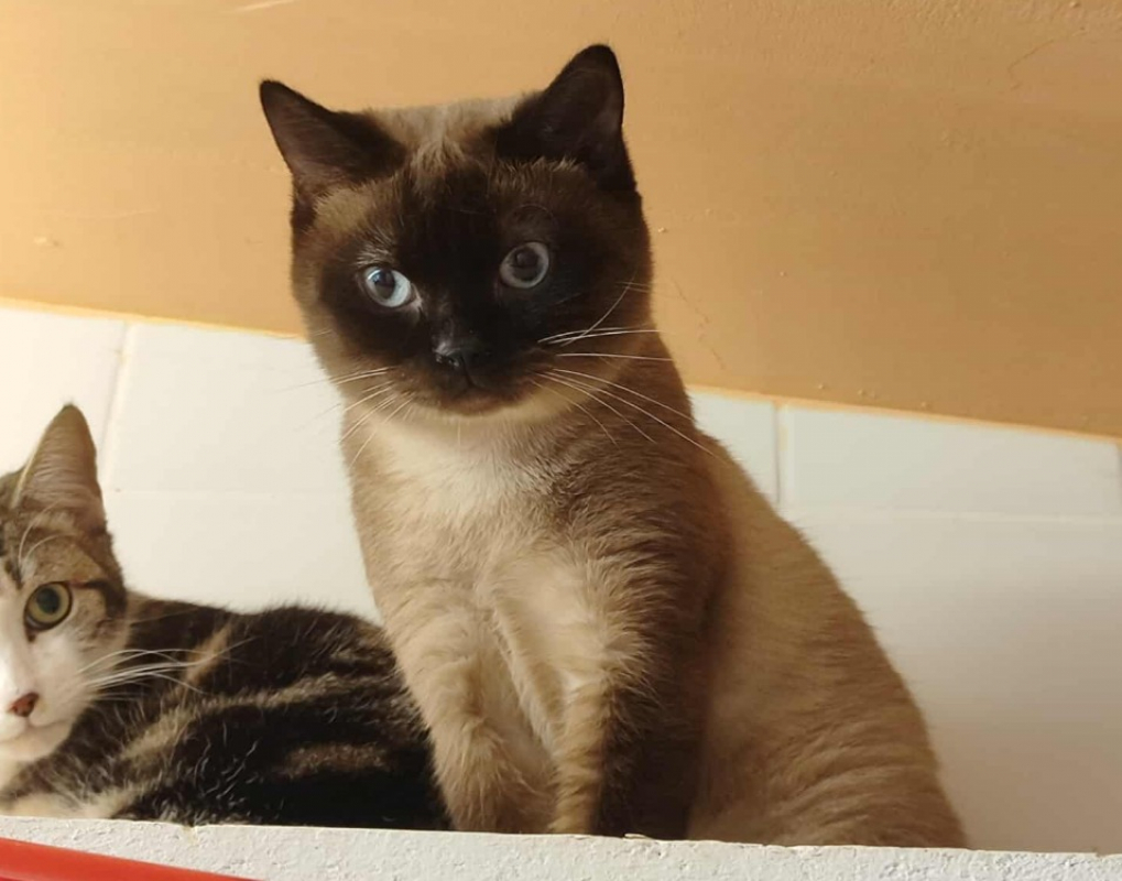 Photo #4 de Felix / déjà promis