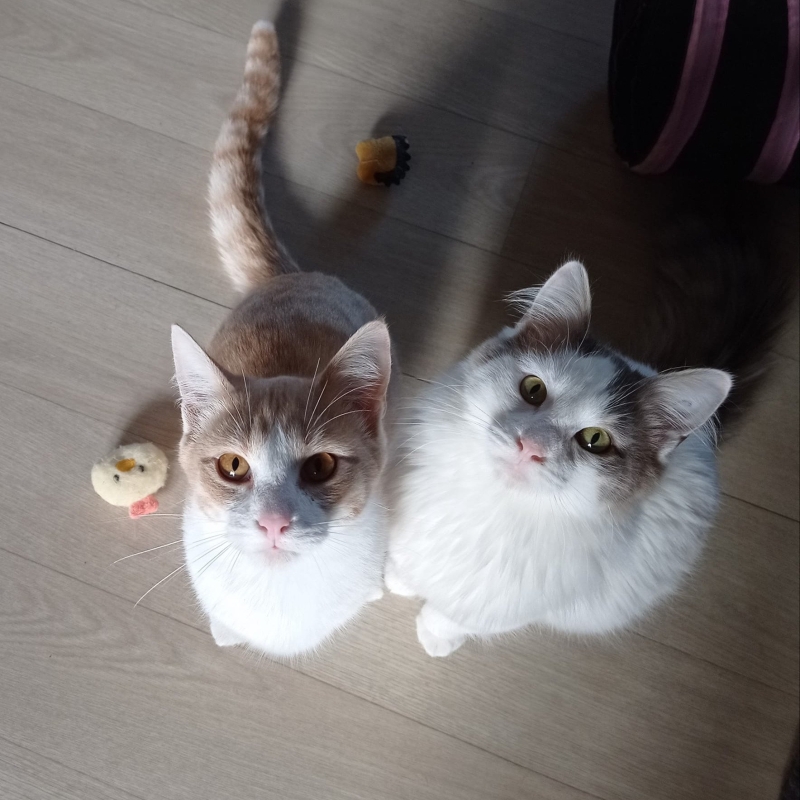 Photo de Serge et Saxo
