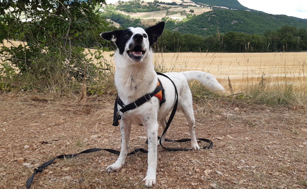 Photo #10 de Pablo
