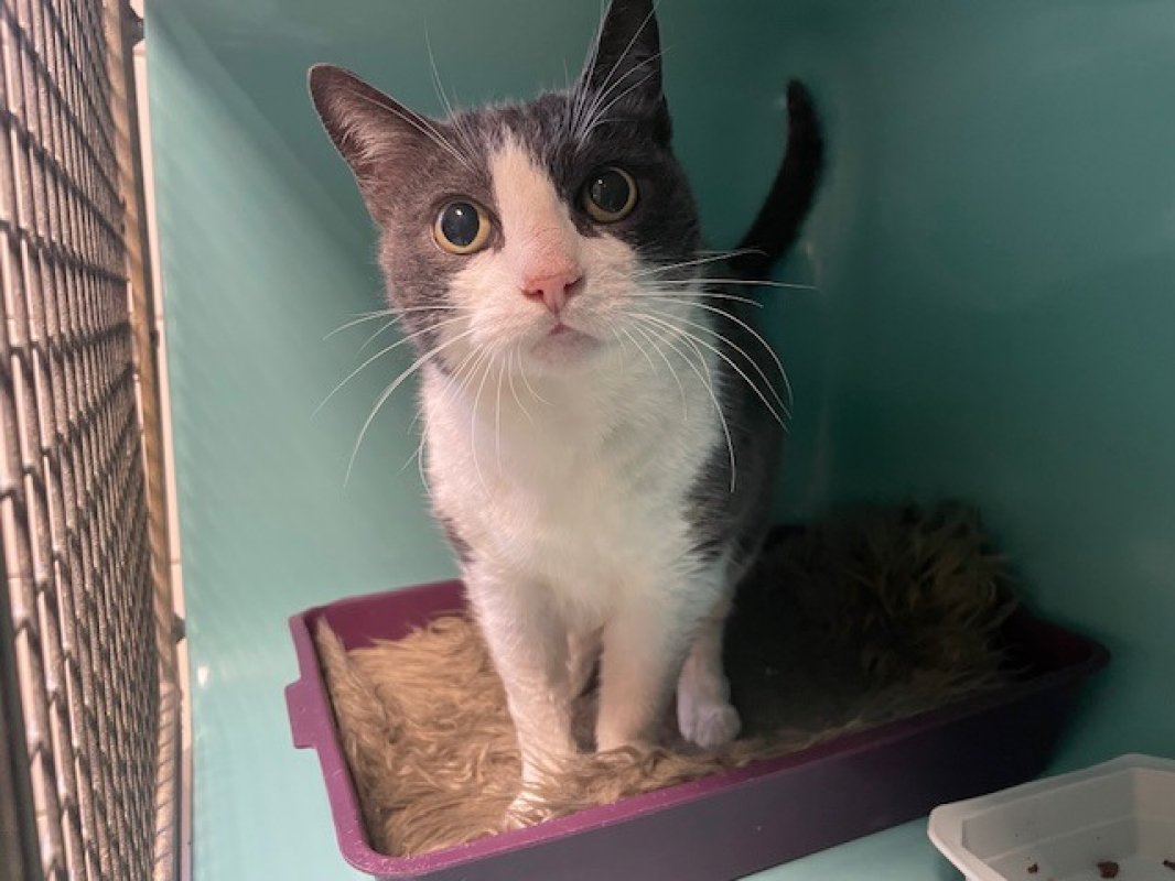 Photo #2 de Brigitte