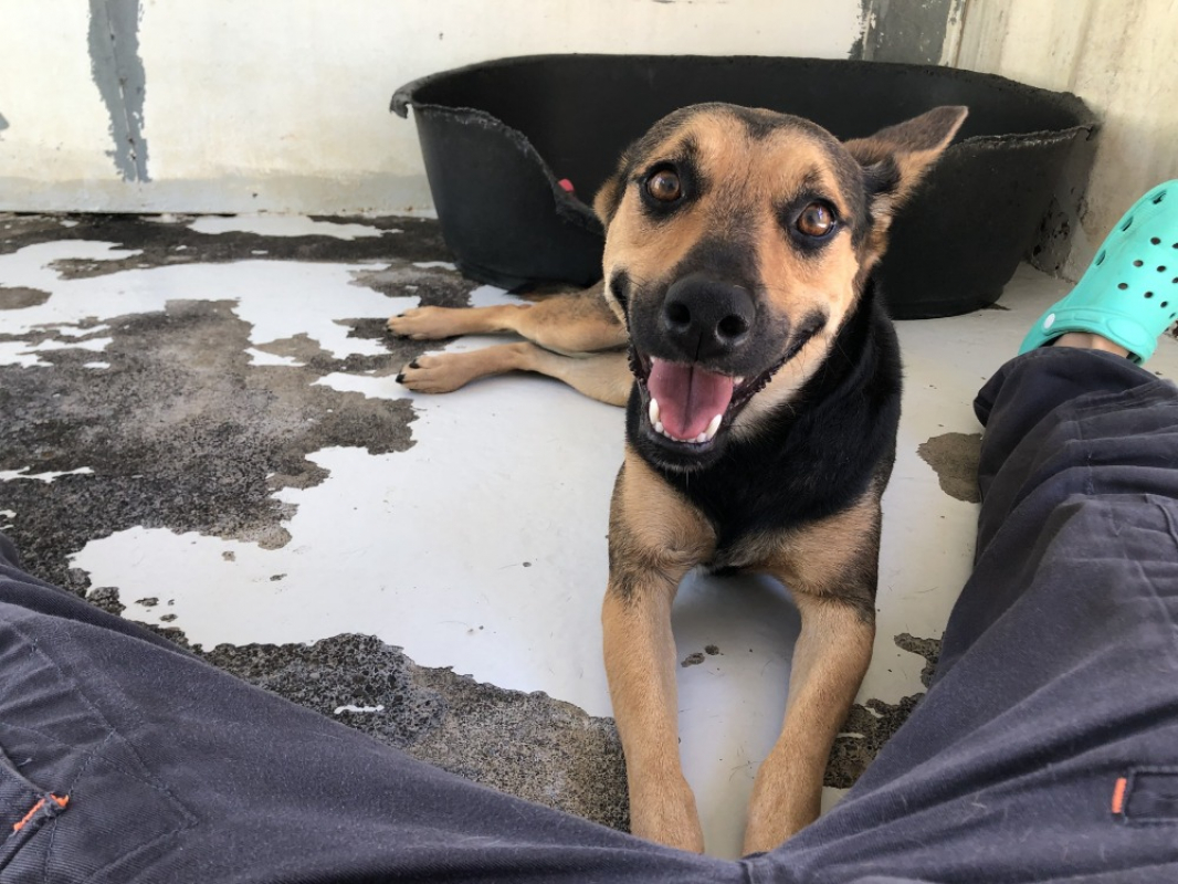 Photo #2 de Serenade