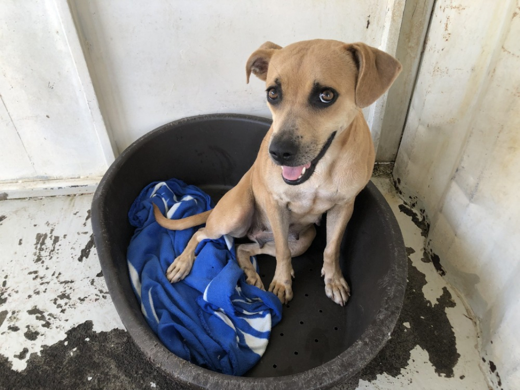 Photo #1 de Harmonie