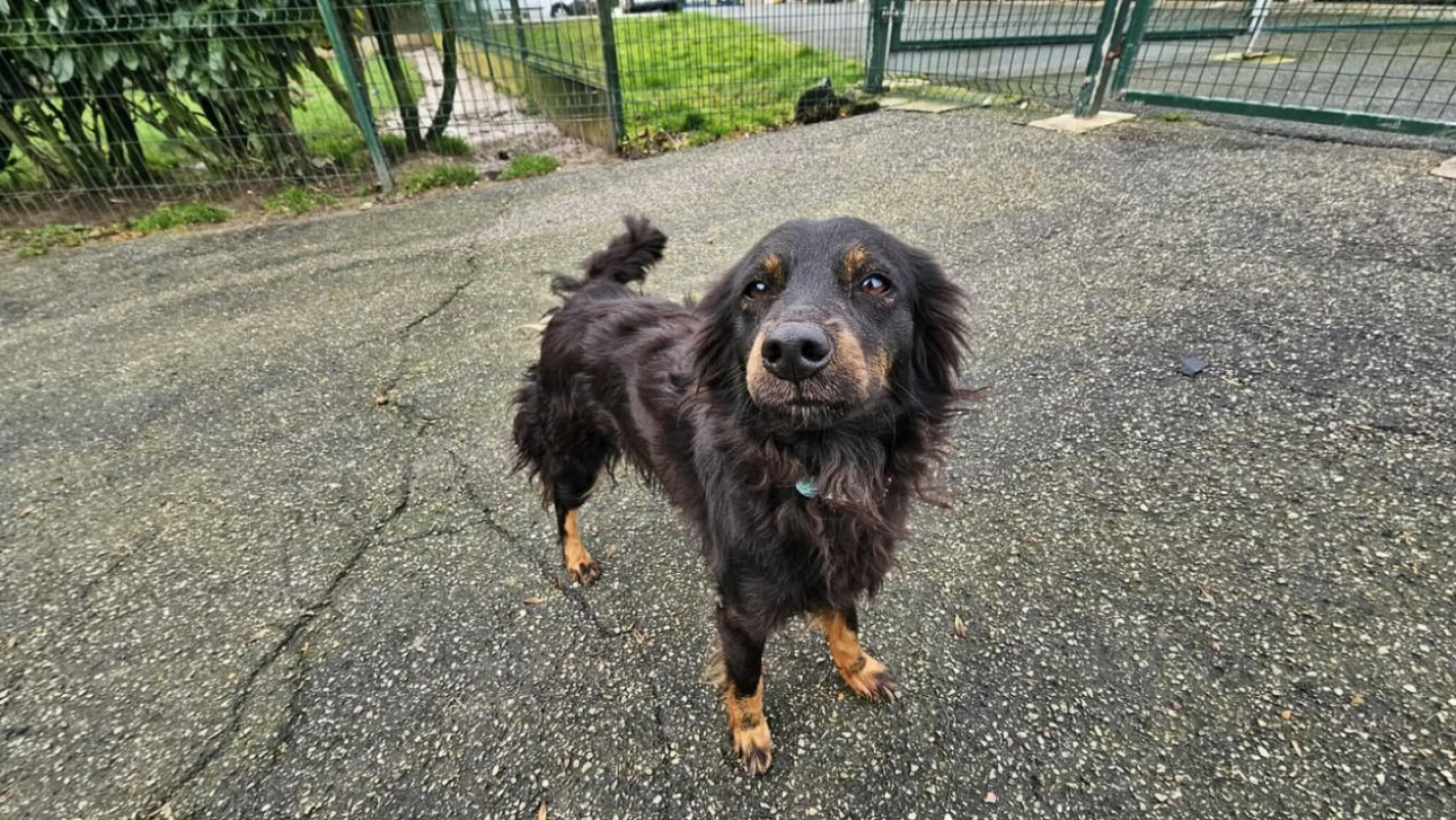 Photo #1 de Persephone