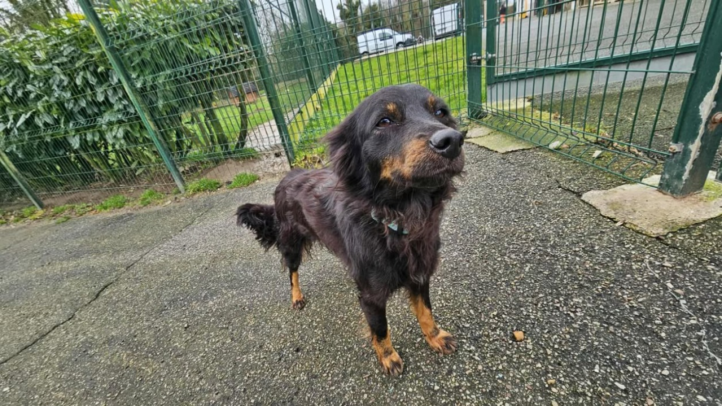 Photo #3 de Persephone