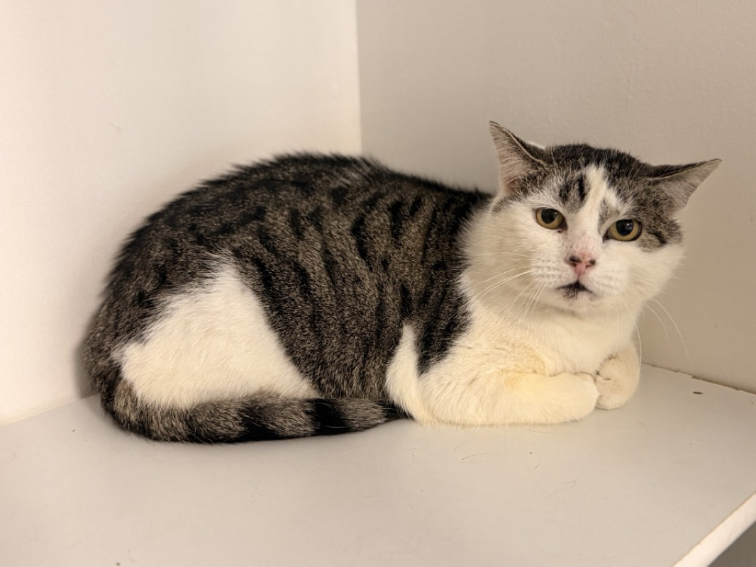 Photo #2 de Palombaggia