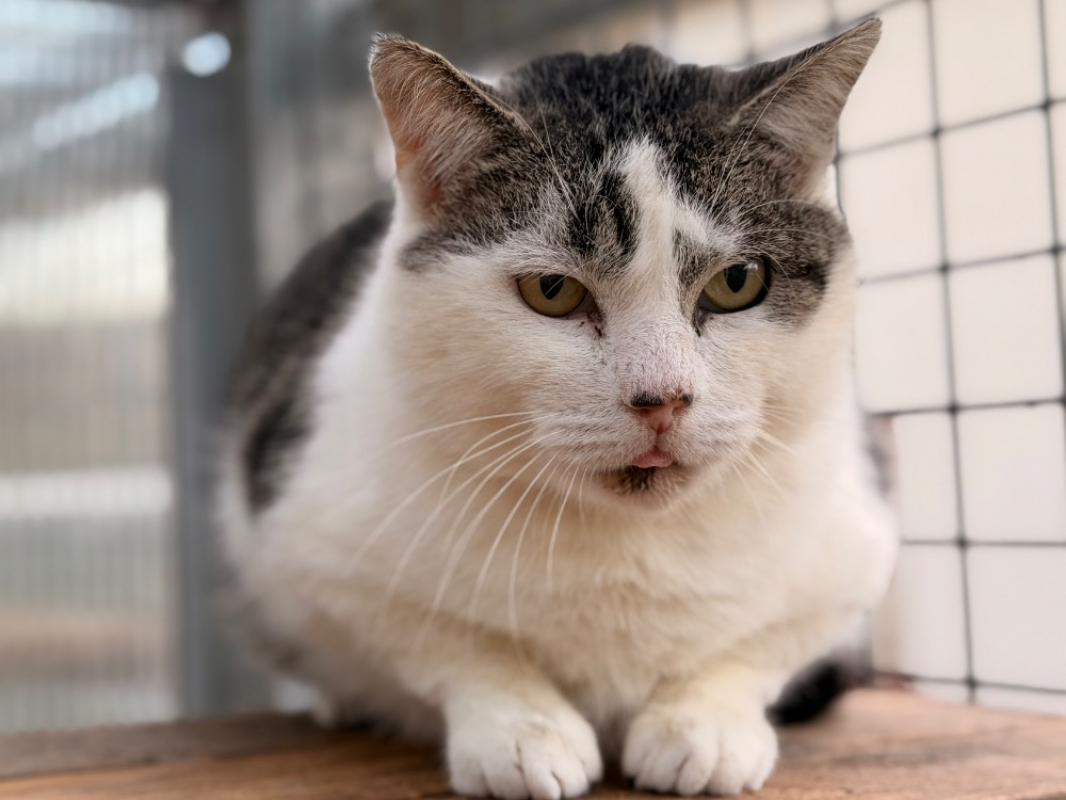 Photo #1 de Palombaggia