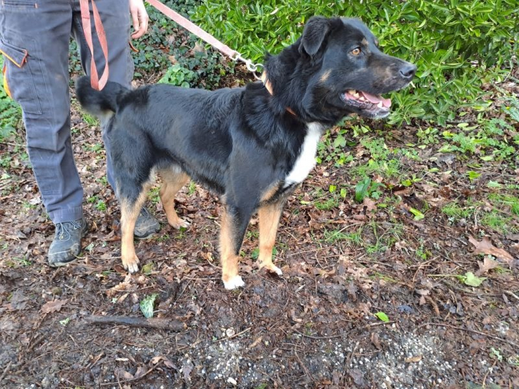 Photo #2 de Réservé tao