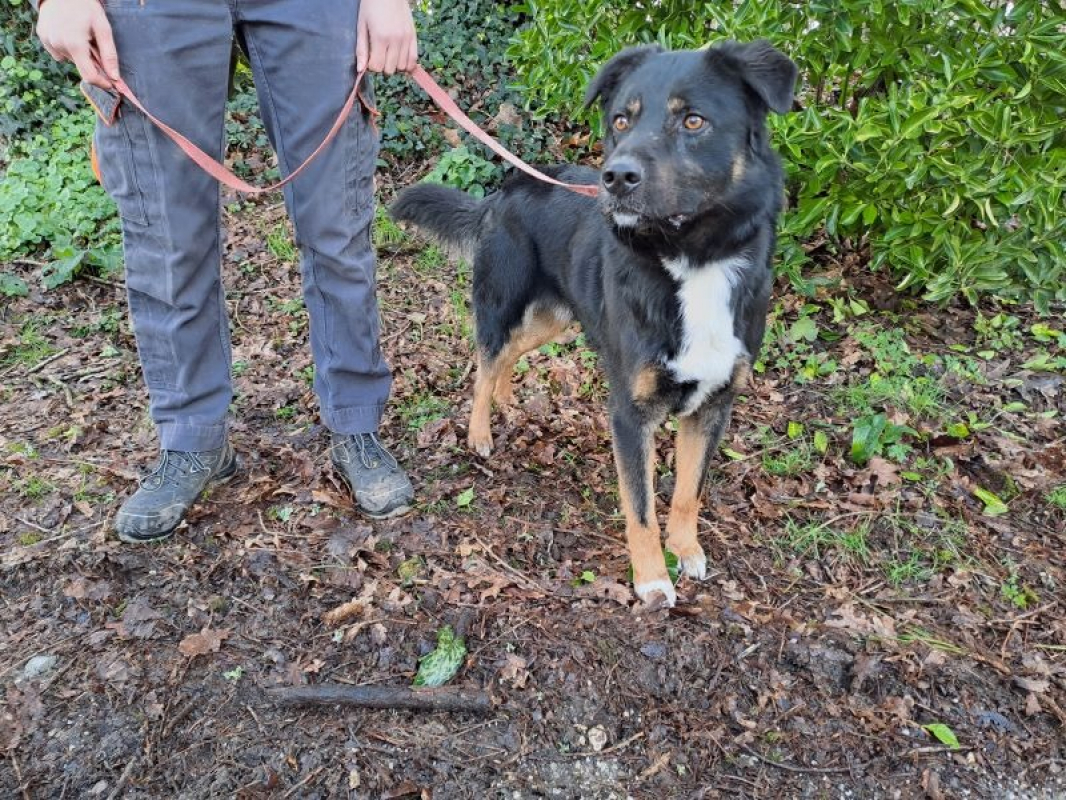 Photo #3 de Réservé tao