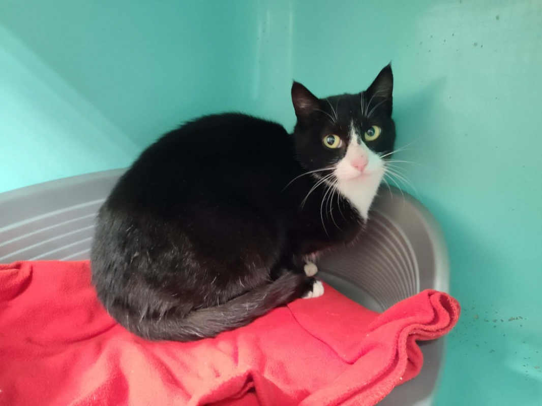 Photo de Petite maman